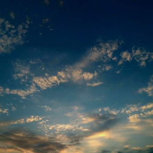 Photo #6337404