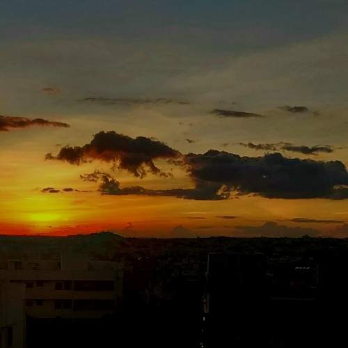 Photo #6337431