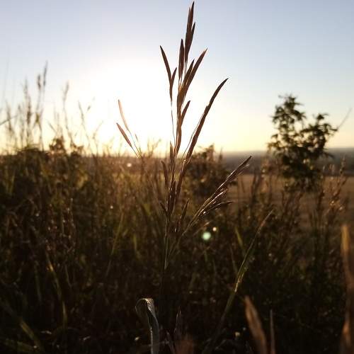 Photo #6337533