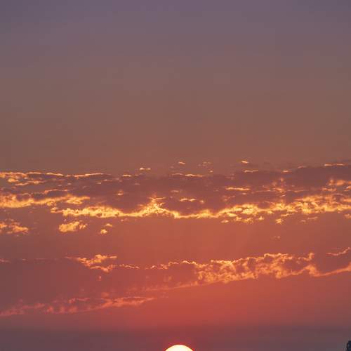 Photo #6337859