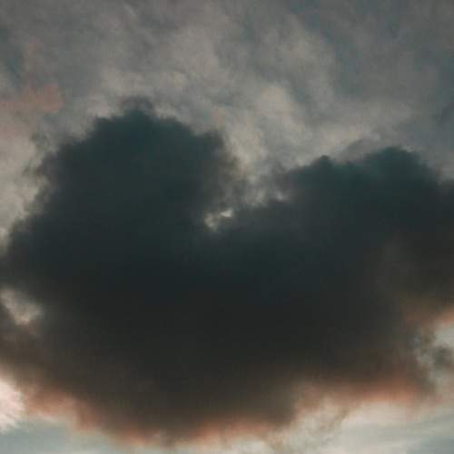 Photo #6338425