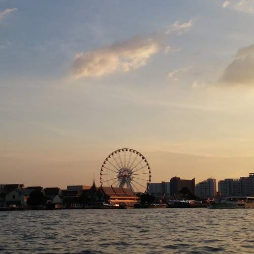 Photo #6338470