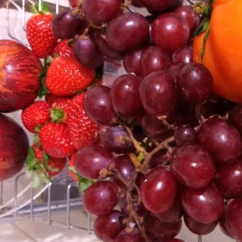 Photo #6338530