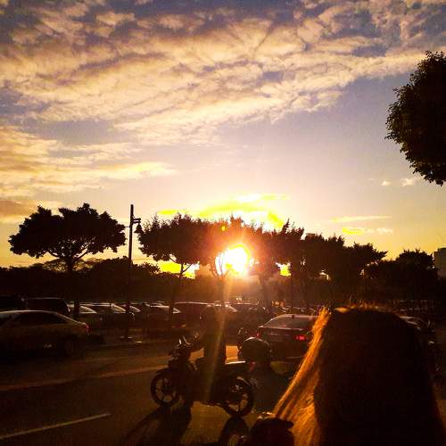 Photo #6338542