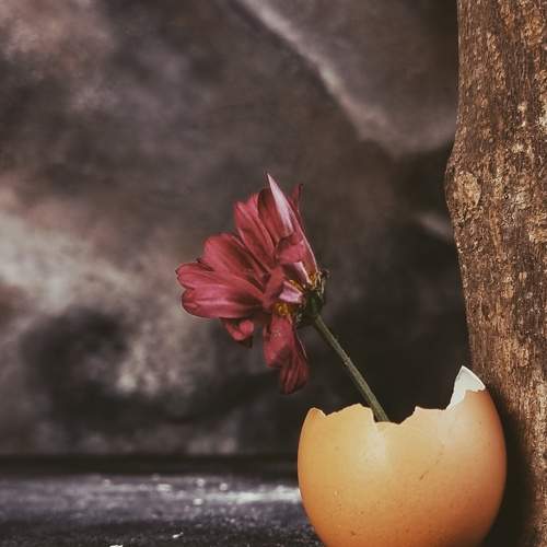 Photo #6338545