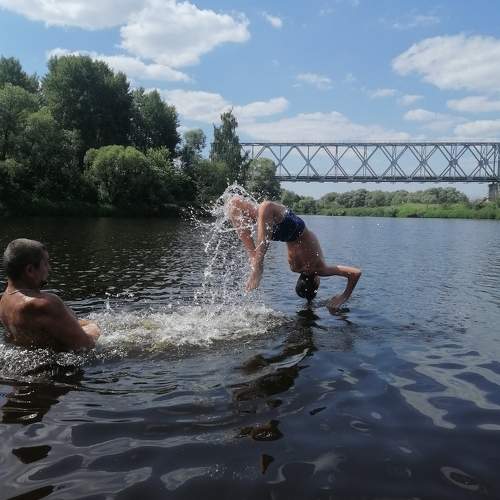 Photo #6338593