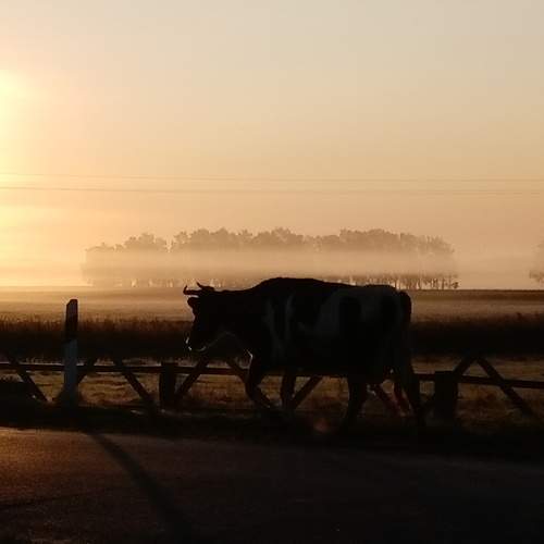 Photo #6338802