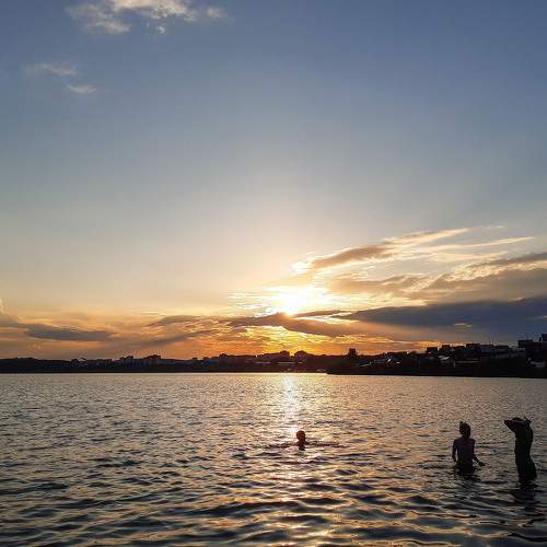 Photo #6339200