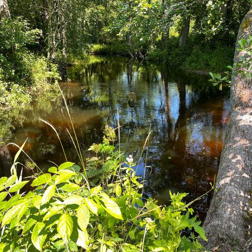 Photo #6339656