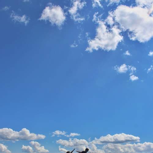 Photo #6339777