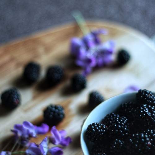 Photo #6339791