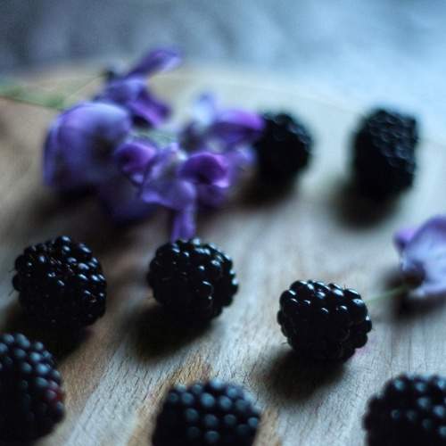 Photo #6339792