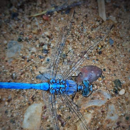 Photo #6340108
