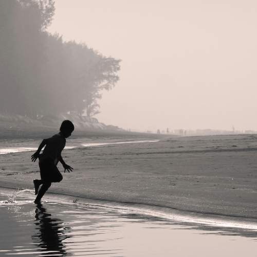 Photo #6340517