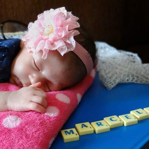 Photo #6341571