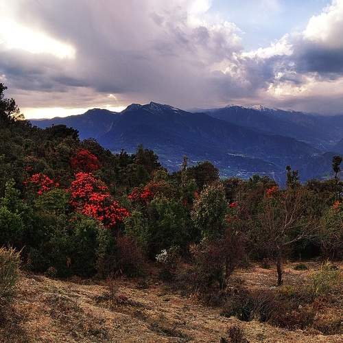 Photo #6341744