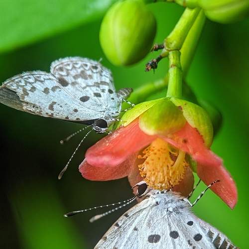Photo #6341770