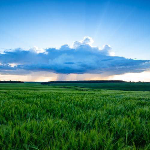 Облачно с прояснениями…