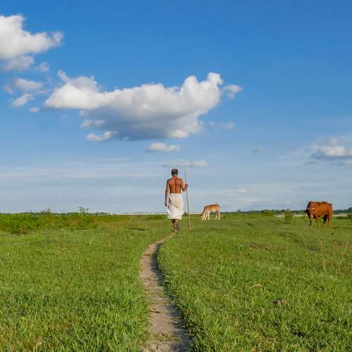 Photo #6342248