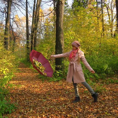 Photo #6342559