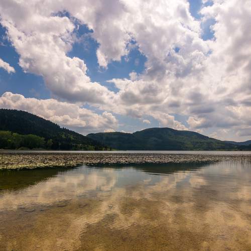 Photo #6342565