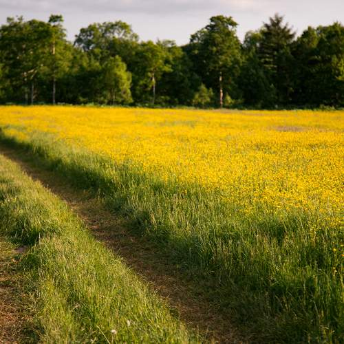 Photo #6342633