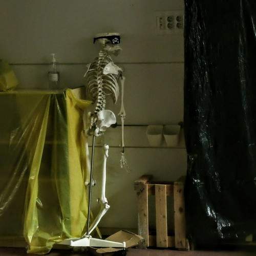 Photo #6342646