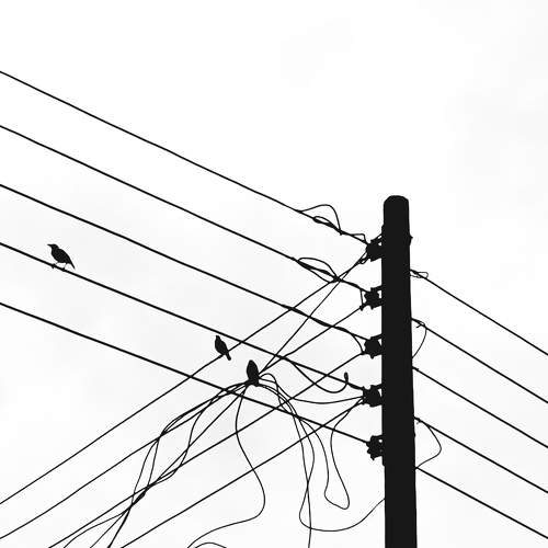 Photo #6343119