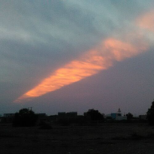 Photo #6343388
