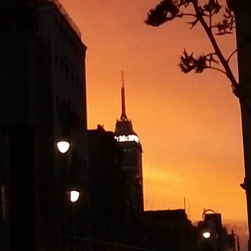Photo #6343406