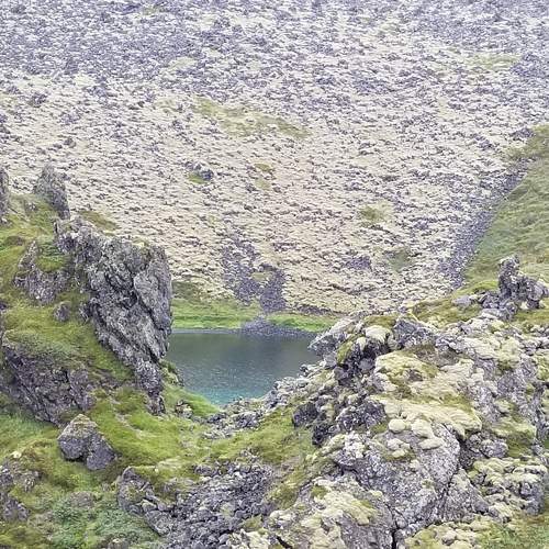 Photo #6343929