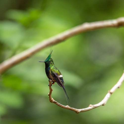 Photo #6344251