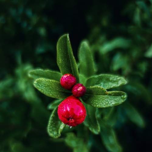 Photo #6344372