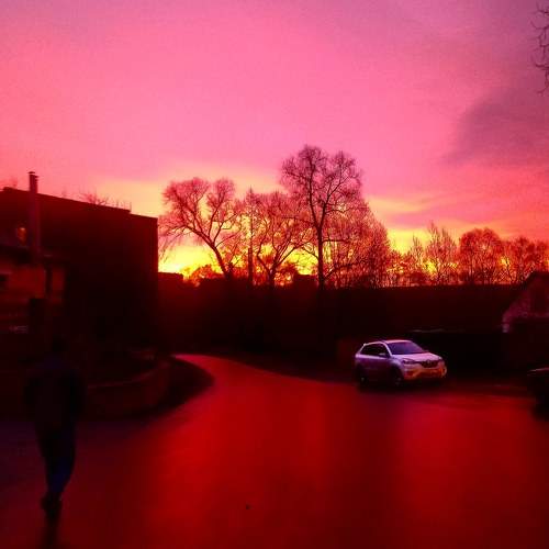 Photo #6344888