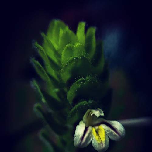 Photo #6344975
