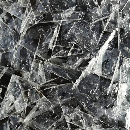 Photo #6345124