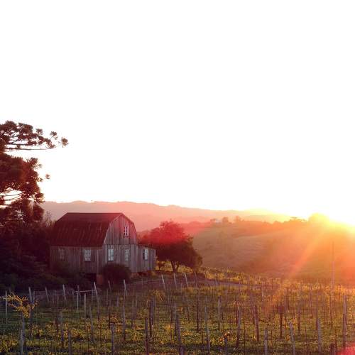 Photo #6345349