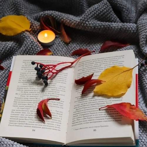 Photo #6345394