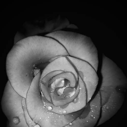 Photo #6345845