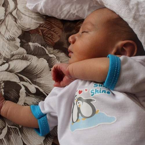 Photo #6345955