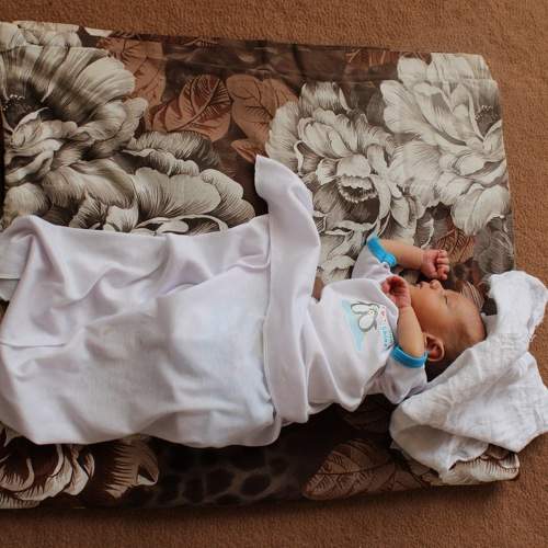 Photo #6345967