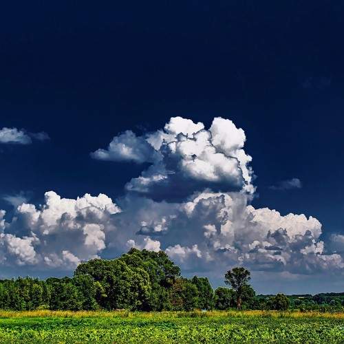Photo #6346080
