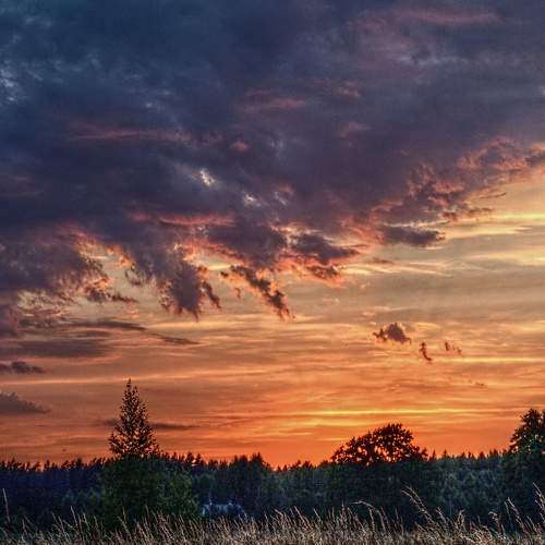Photo #6346263
