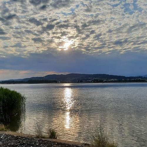 Photo #6346563