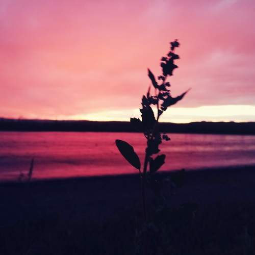 Photo #6346777