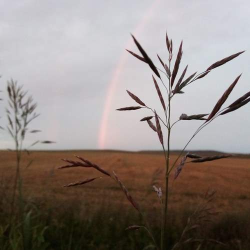 Photo #6346779