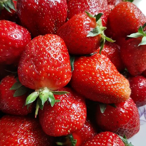 Клубничное изобилие