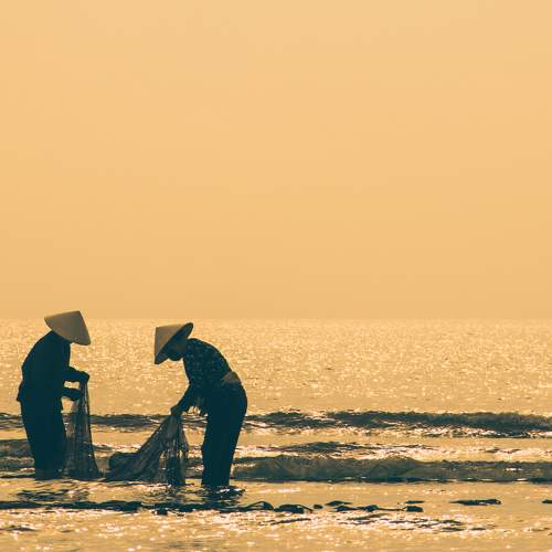 Photo #6347541