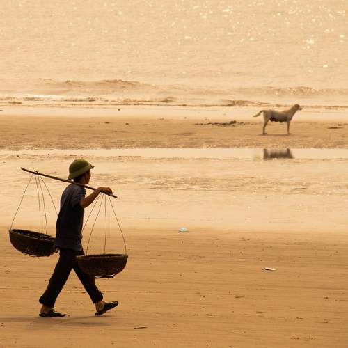 Photo #6347542