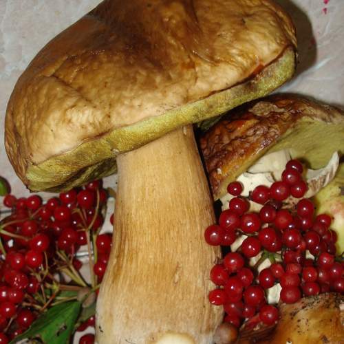Photo #6347612